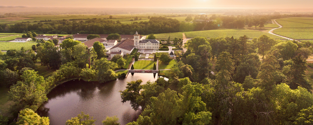 Porque traer vinos franceses a España: diversidad, curiosidad y cultura del vino