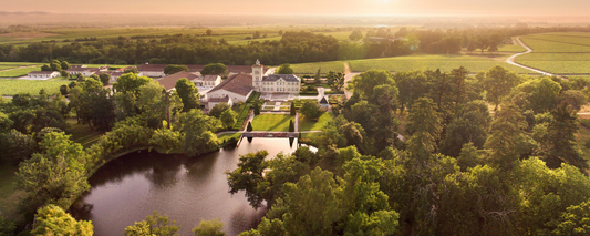 Porque traer vinos franceses a España: diversidad, curiosidad y cultura del vino