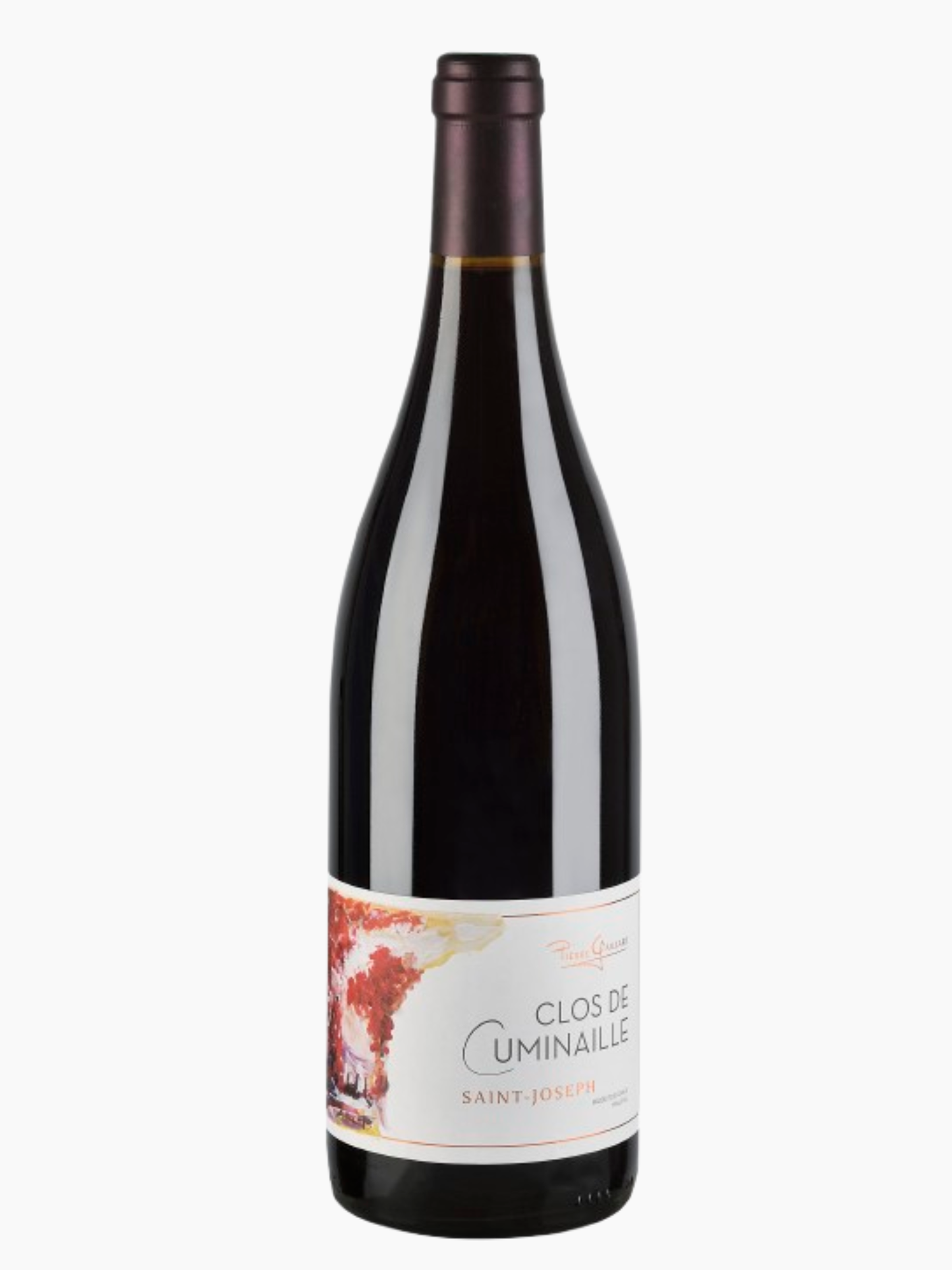 Famille Gaillard, Saint Joseph Clos Cuminaille 2022, Pierre Gaillard