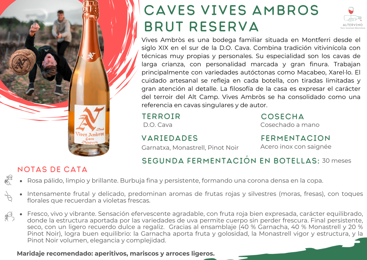 Vinobox "Burbujas Navideñas" - 3 Vinos / 6 Botellas